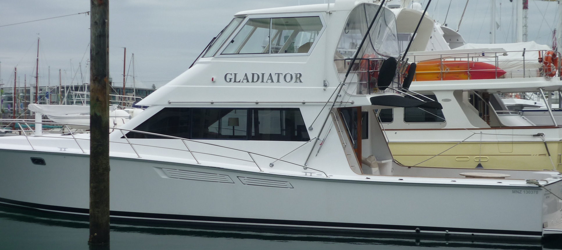 Gladiator Fishing Charter Survey